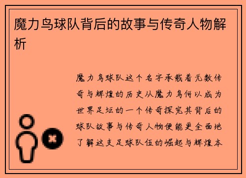 魔力鸟球队背后的故事与传奇人物解析
